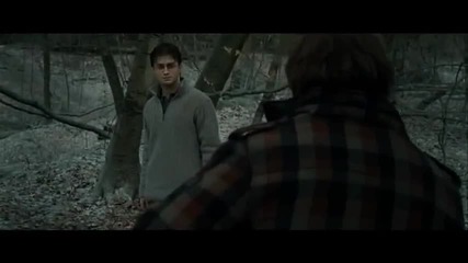 Harry Potter Dh - Ron Returns