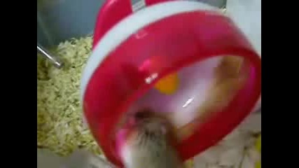 Тоя не е extazi