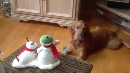 Куче пее Коледна песен - Jingle Bells