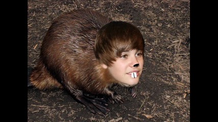 "най-големият"-justin Beaver