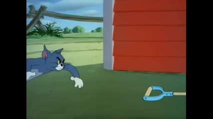 Tom & Jerry - Just Ducky
