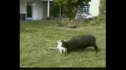 И още смях!!