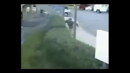 Pro Rollerbladers