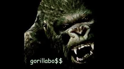 gorillaboss - Hranilka za Kuki