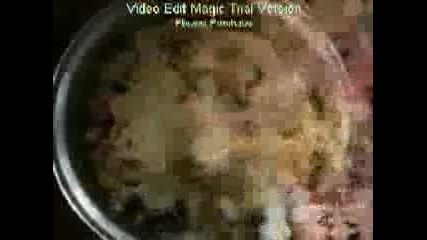 Arabian food - lizard soup 