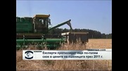 Експерти прогнозират още по-голям скок в цените на пшеницата през 2011 г.