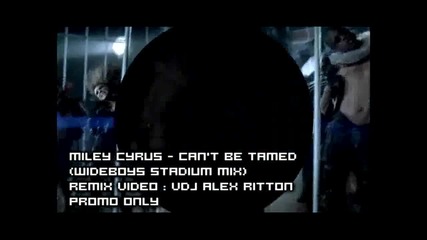 Miley Cyrus - Cant be tamed remix