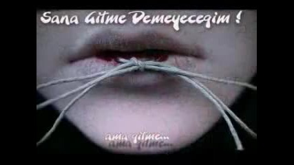 Gizli Ashk..