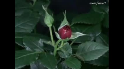 Yiruma - Relaxing 