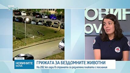 Любов и подкрепа към бездомните животни: На 282 жп гари в страната са разлепени плакати с послания