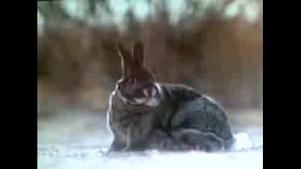 Part Of The Film "rubber"