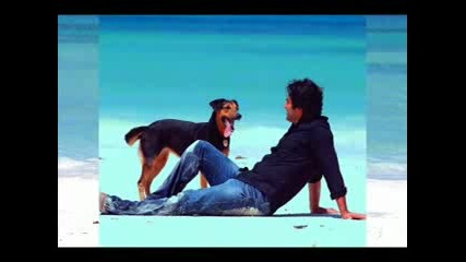 93608e85.flv