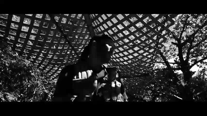Don Omar ft. Syko El Terror - Huеrfano de Amor ( Official Video H Q 2010 ) 
