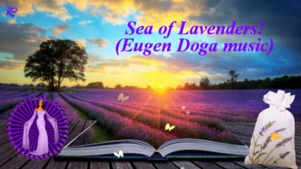 Море от лавандула! ... ( Eugen Doga music) ...