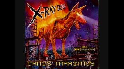 X Ray Dog - Demon Slayer