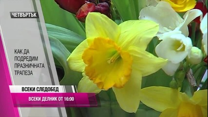 Promo_vseki_sledobed_s_krisi_09_