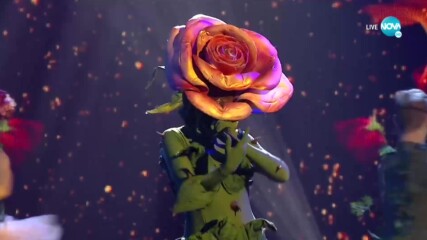 Розата - Всички изпълнения