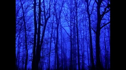 Auburn Lull - Steady Lights