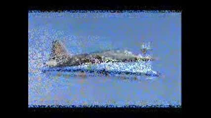 f - 5 