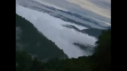 The Emerald Forest 