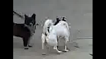 ku4e6ki sex
