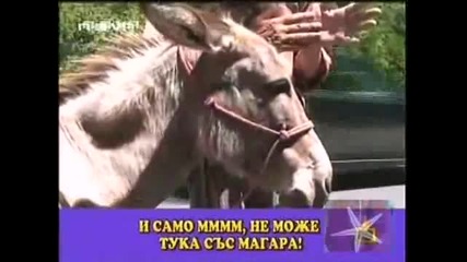 вдигат каруци на цигани !