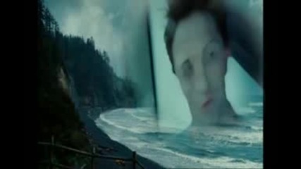The Dead & the Gone Twilight