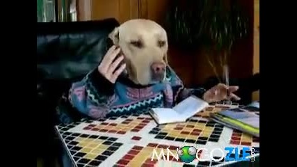 Куче говори по телефона 
