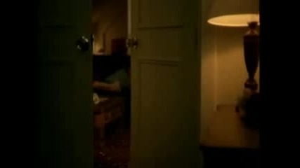 Lynx Effect