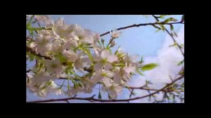 Dj Lpi - Планетата Земя( Planet Earth)