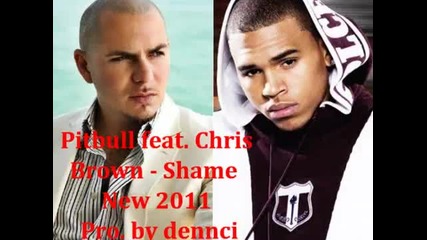 Pitbull feat. Chris Brown - Shame (new 2012 ) ( Dennci Remix )