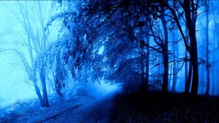 Shine On Me- Блясък от мен