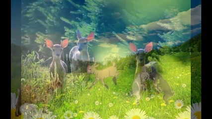 The mood of summer ... ... (music Frank Duval) ... ...