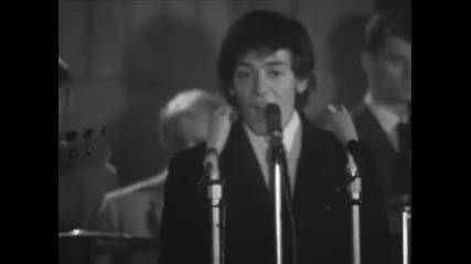 The Hollies - Look Through Any Window 