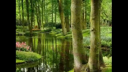 Синята Планета... ( Прекрасната природа ) 