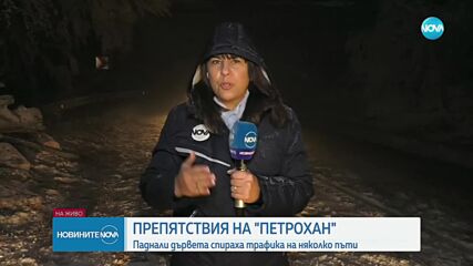 Силен вятър събори дървета на прохода „Петрохан”
