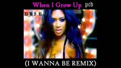 Pussycat Dolls - I Wanna Be... (remix)