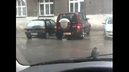 Хладнокръвно врабче.
