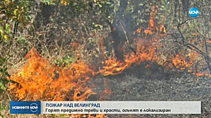 Пожар е обхванал 60 дка иглолистна гора над Велинград