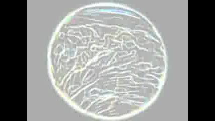 Lunar System
