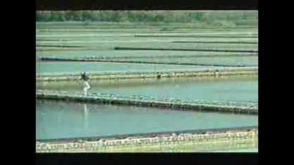 Лепа Брена - Ja pripadam samo tebi 