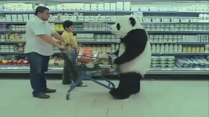 Never Say No To A Gangsta Panda! (hood Spoof Version