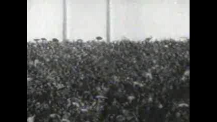 Левски vs Цска 4:3 (02.06.1976)