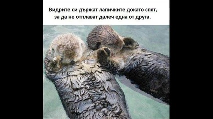 Rod Stewart - When I Need You