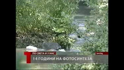 Индиец не яде от 14 години