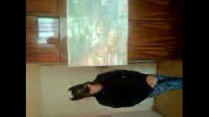 Новини по Comedybg
