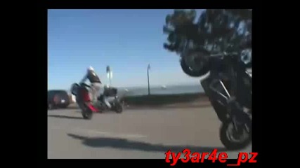 ruff ryders
