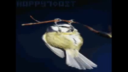 1:30 забавление със снимки pr гледане 