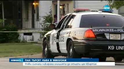 Куче стана жертва на слуховете за лъв на свобода