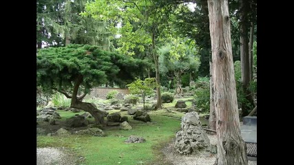 Mузика в японската градина